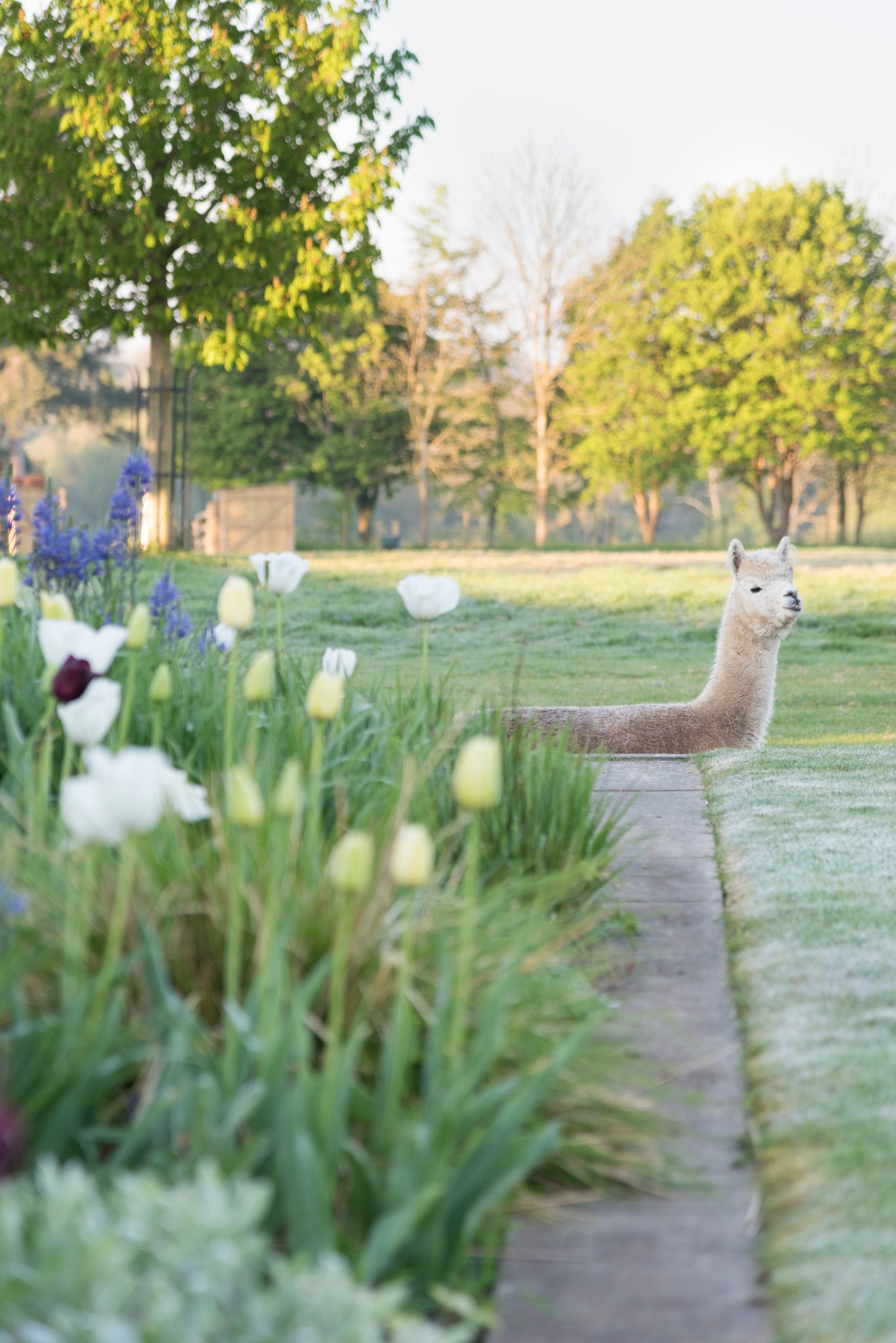 Collective Image Mosaic Item