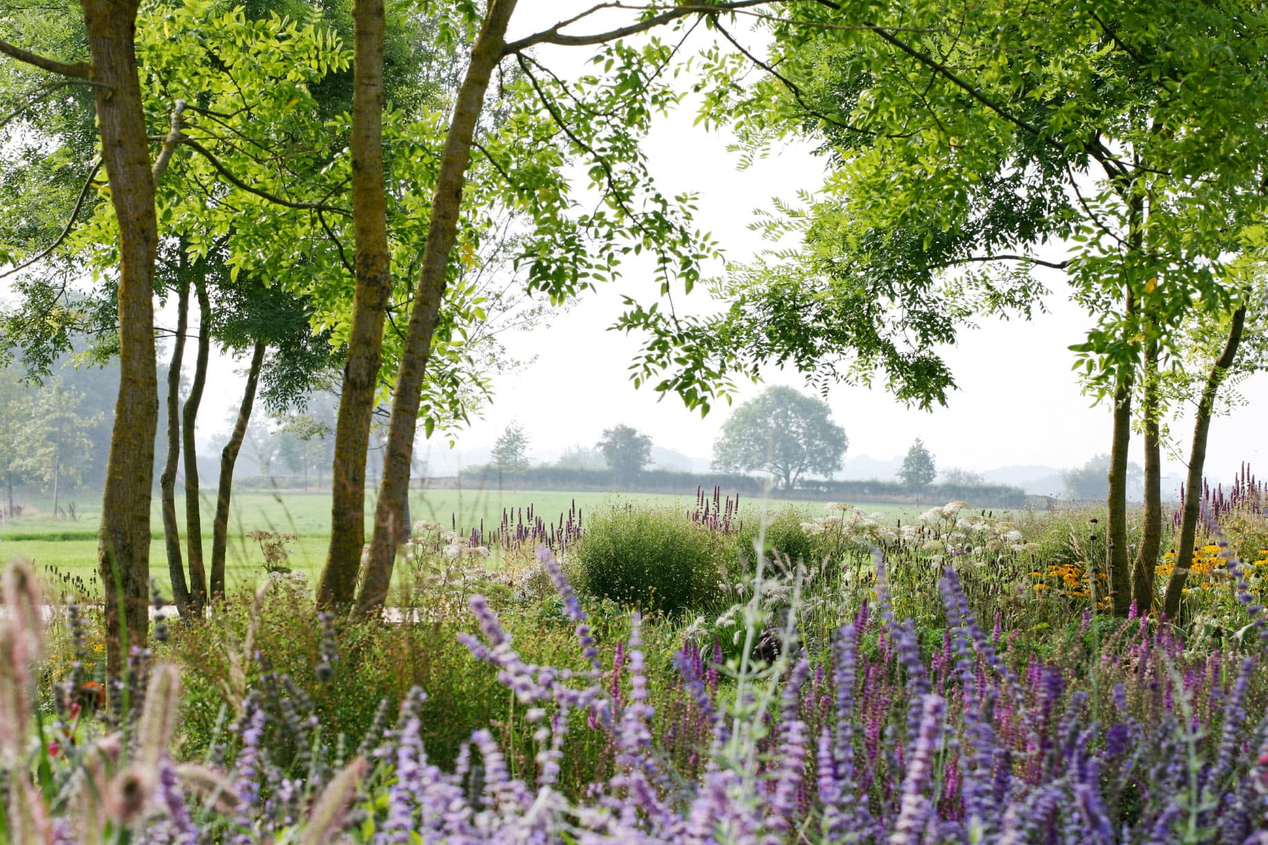 Collective Image Mosaic Item