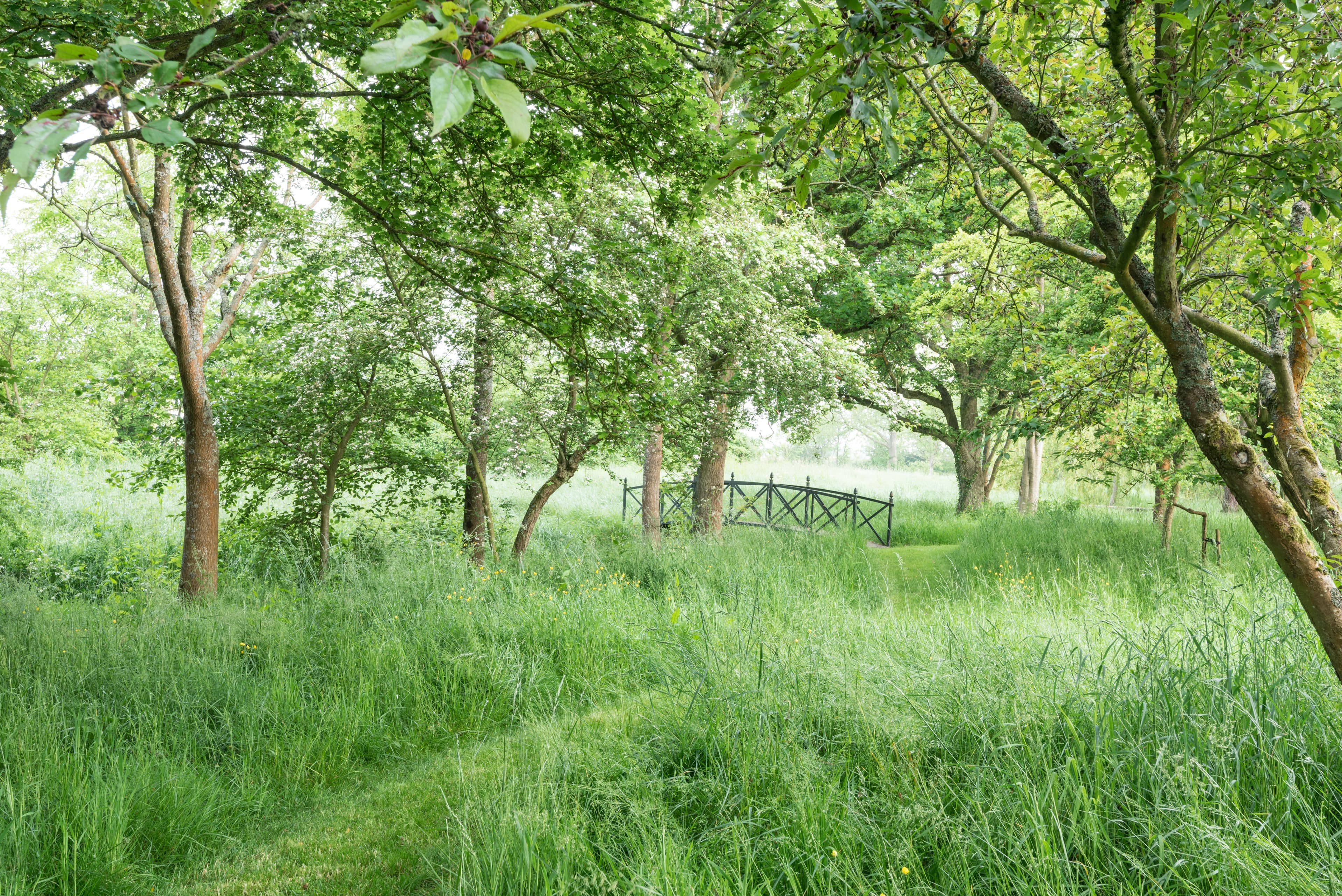 Collective Image Mosaic Item