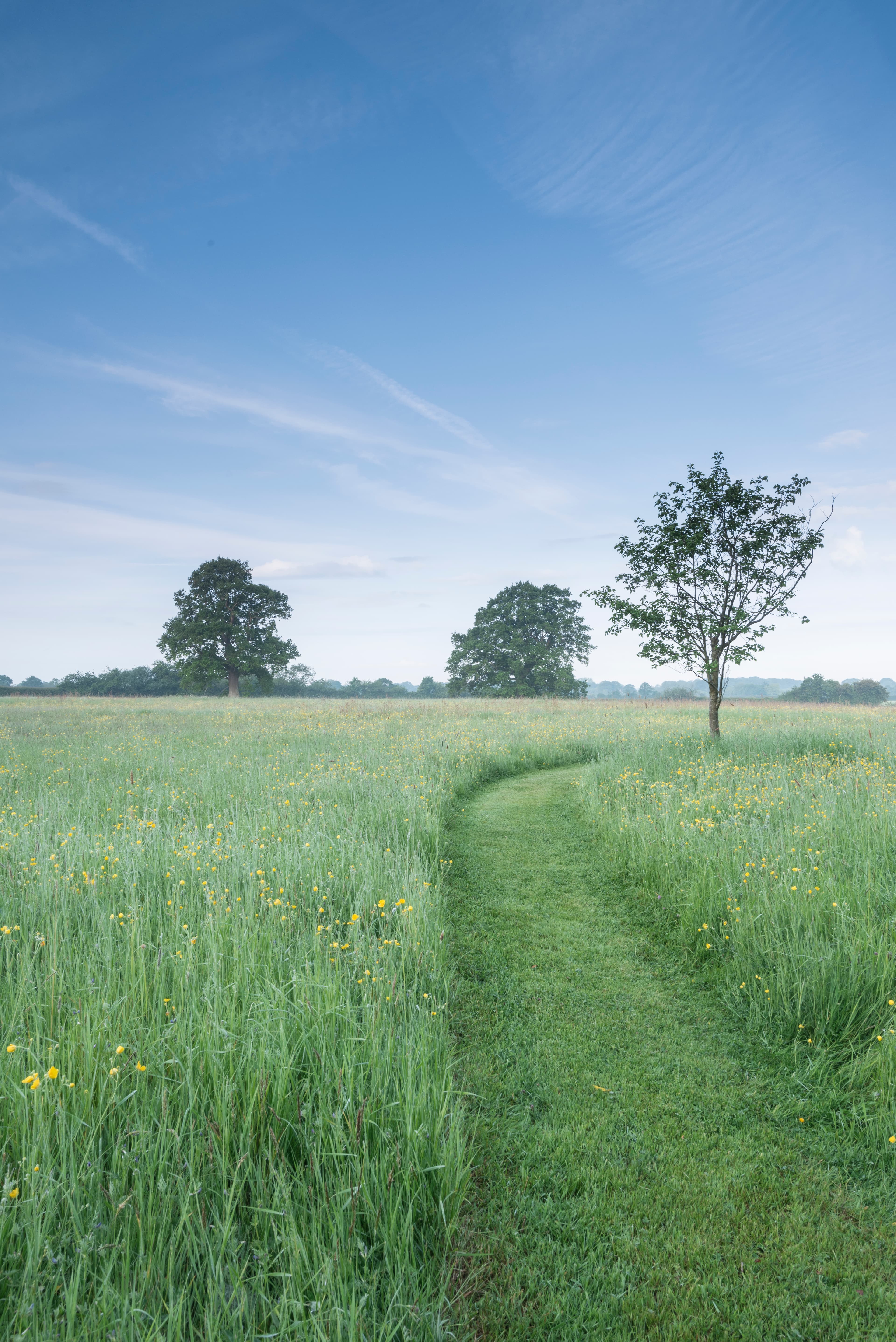 Collective Image Mosaic Item