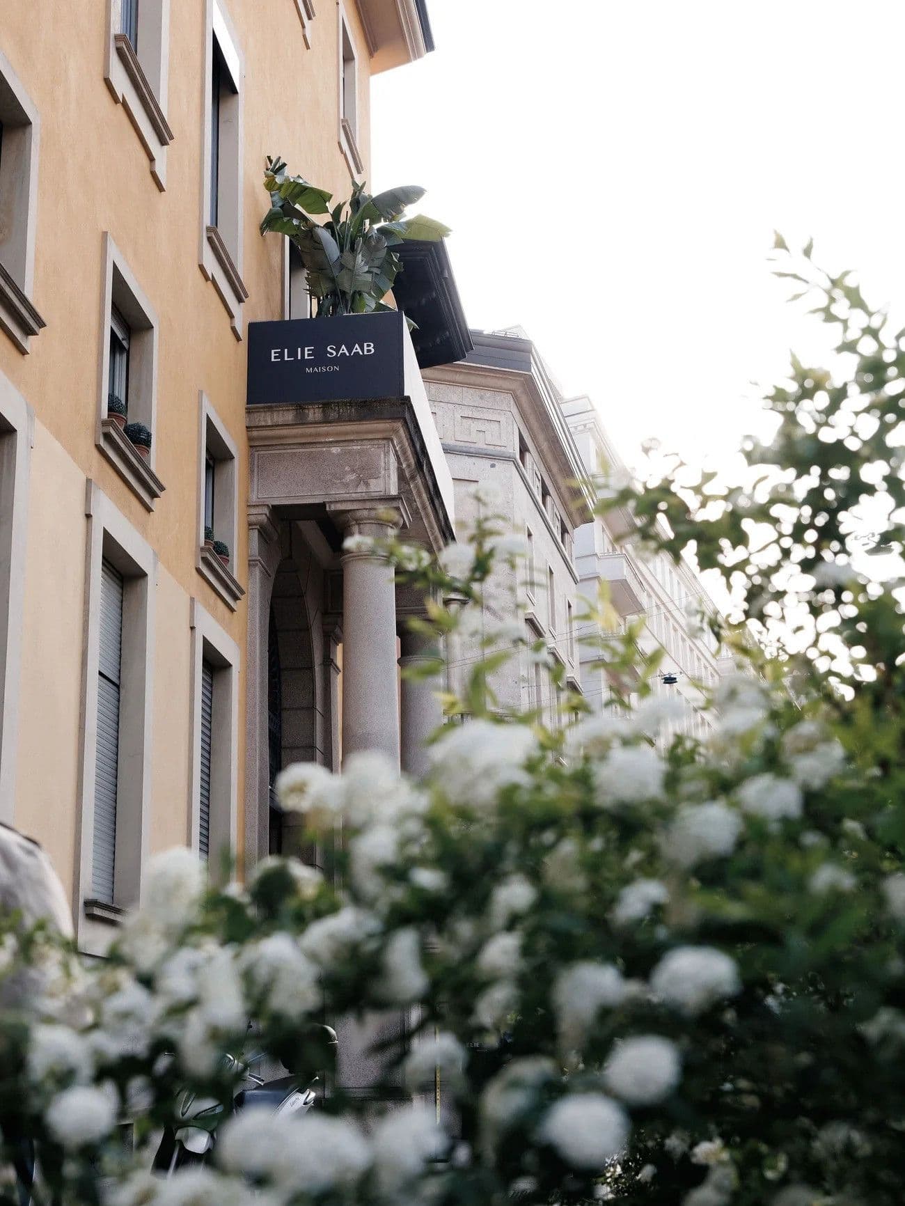 Etoile Villas by Elie Saab location