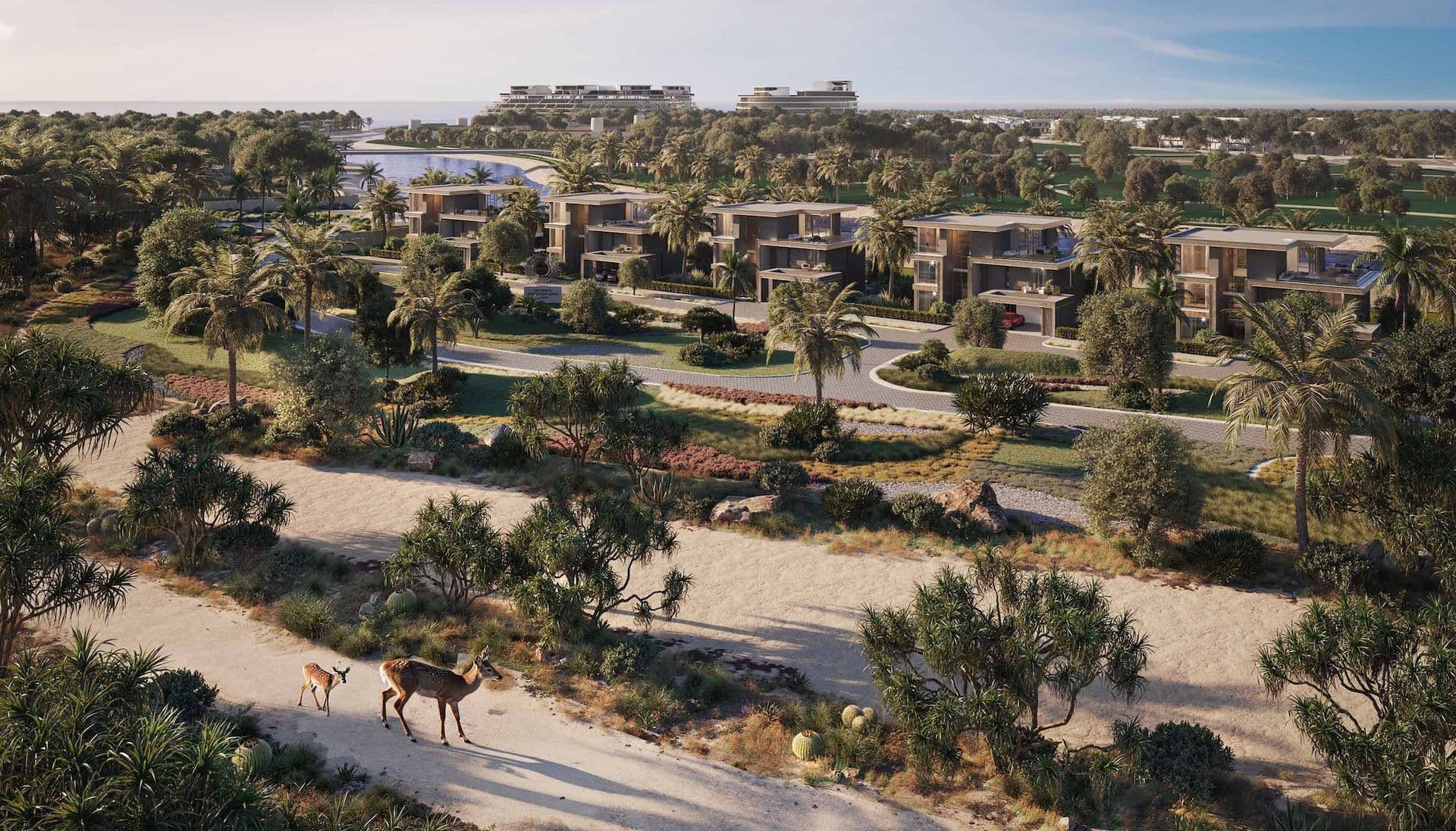 Jacob & Co. Beachfront Living by Ohana location