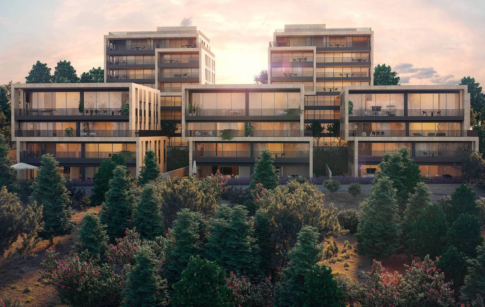 Achim Hasid development