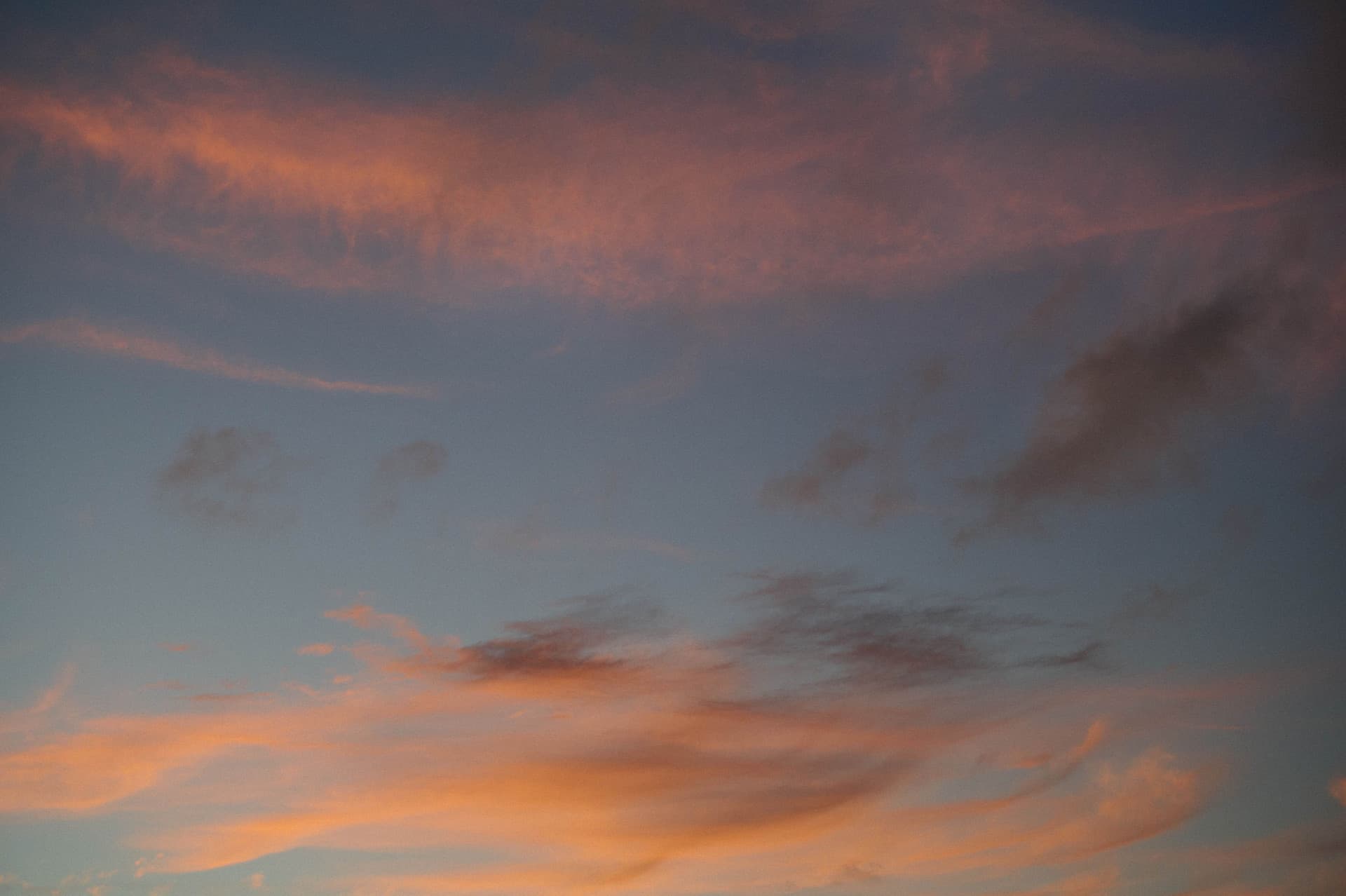 The Shore Club Private Collection amenities