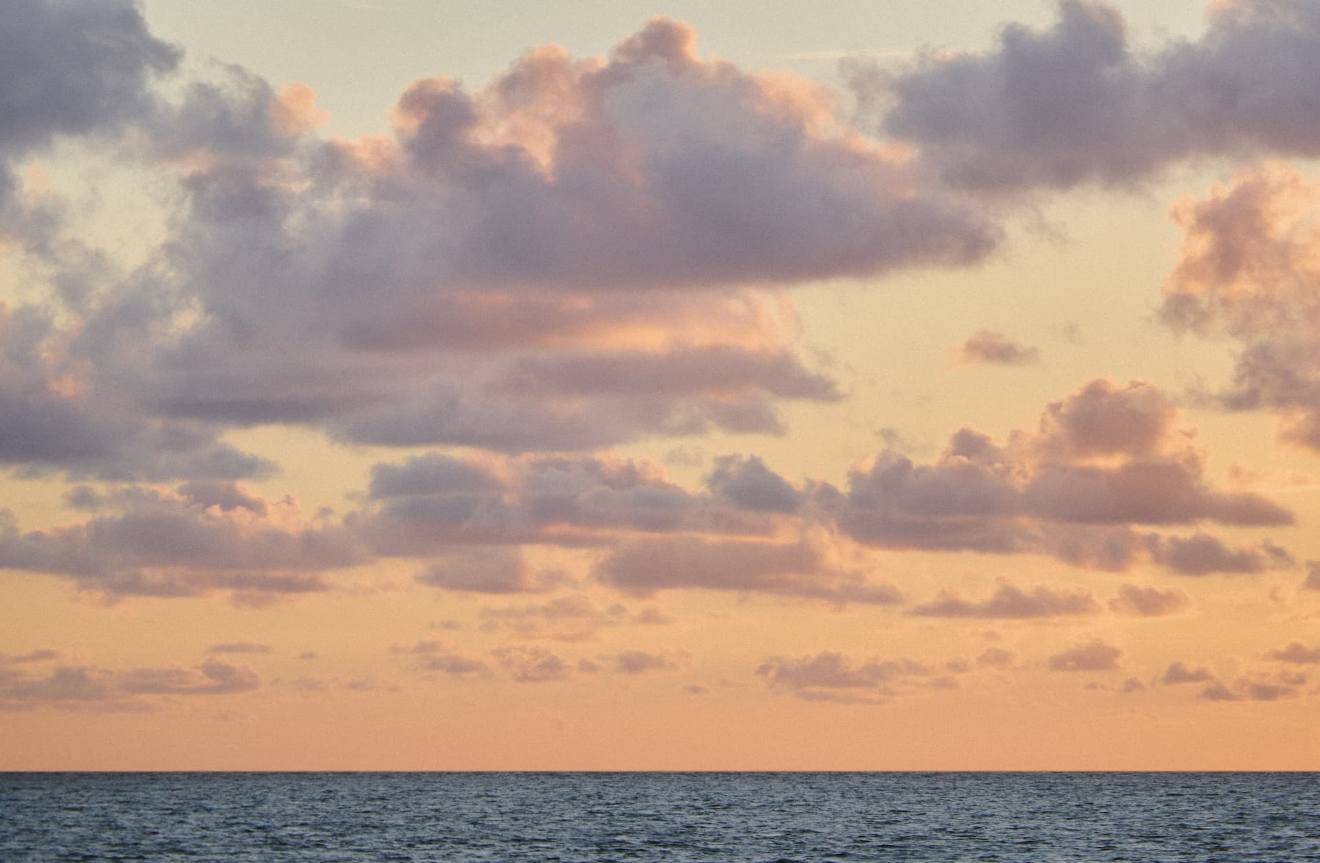 The Shore Club Private Collection location