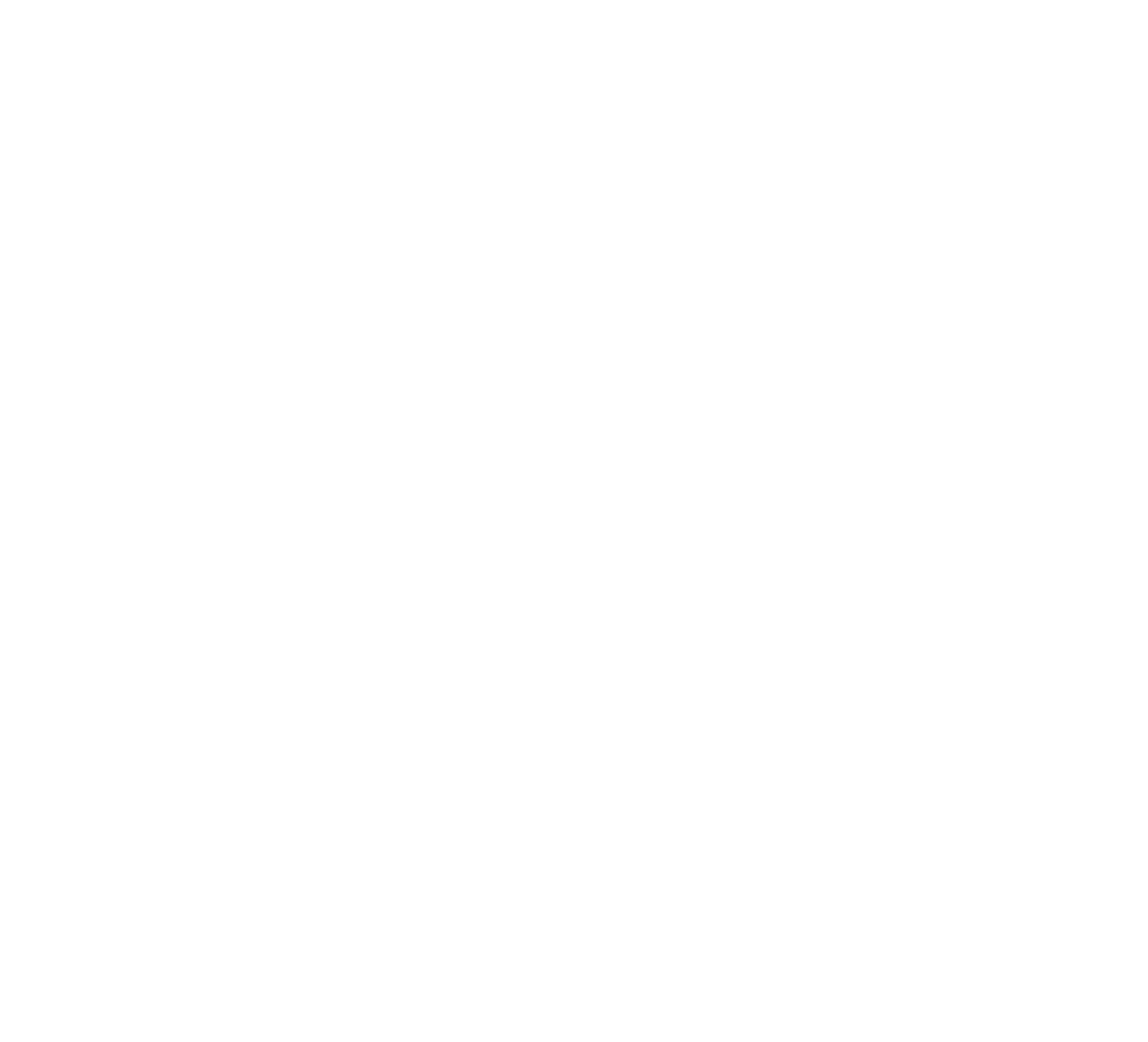 VICEROY logo
